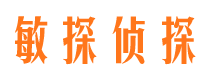 沈河市侦探调查公司